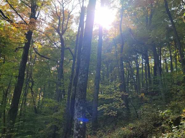 Get Out of the&nbsp;Bubble