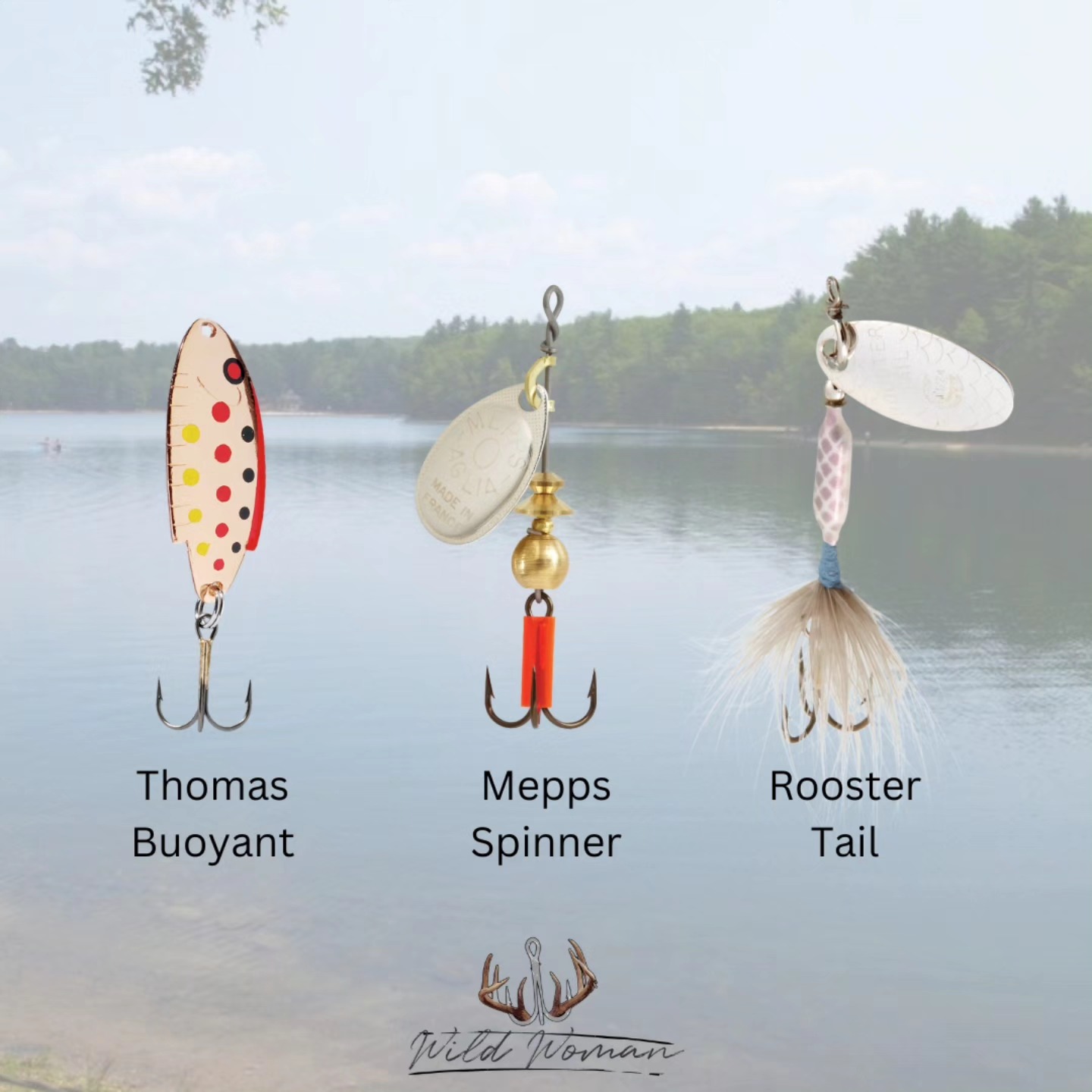 MA Trout Stocking is Back! – Wild Woman